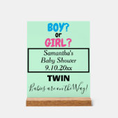 ツインベビーシャワーピンクブルーママの名前は緑 アクリルサイン (正面)