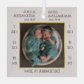 ツインミニマルベビー名誕生統計フォトキープサケ ガラスオーナメント (裏面)