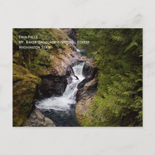 ツイン秋葉書 ポストカード (正面)