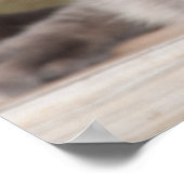 ツイン虎猫チリン ポスター (角)