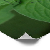 ツイン蝶キャンバス印刷 ポスター (角)