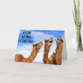 ツイン=クリスマス恋しく思にブルースを歌う! シーズンカード (正面)