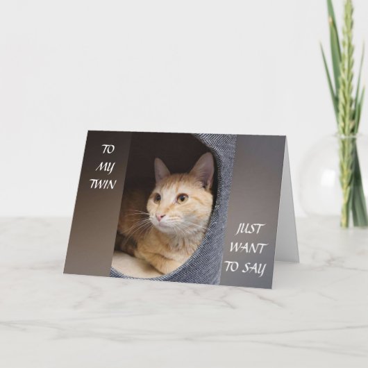 *ツイン*ニャーがキティ猫を誕生日に カード (正面)