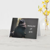 ***ツイン***誕生日 カード (黄色い花)