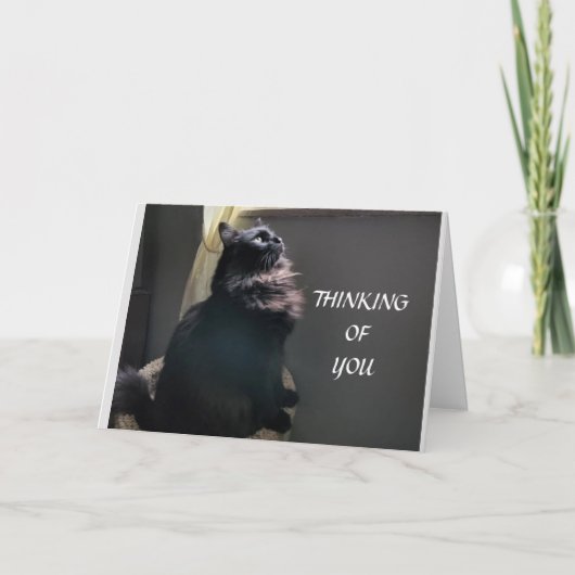 ***ツイン***誕生日 カード (正面)