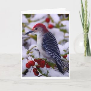 ツイートを休んでハッピーバースデー カード