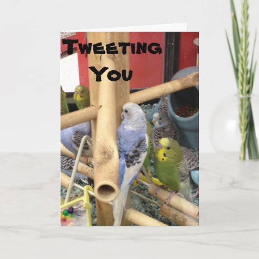 「ツイート」でハッピーイースター シーズンカード (正面)