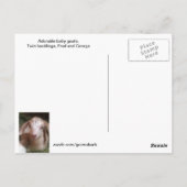 ツイ生まれたばかりのンバッキング葉書 ポストカード (裏面)