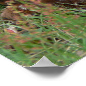 ツイ生まれたばかりのンバンビスポスター ポスター (角)