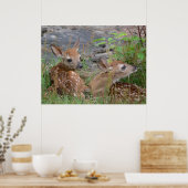 ツイ生まれたばかりのンバンビスポスター ポスター (キッチン)