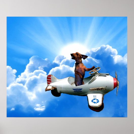 ツェルメノ『ダシュント・アヴィエーター』 ポスター (正面)