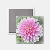 ツェンオブシンプルダリアマグネット マグネット (正面/裏面)