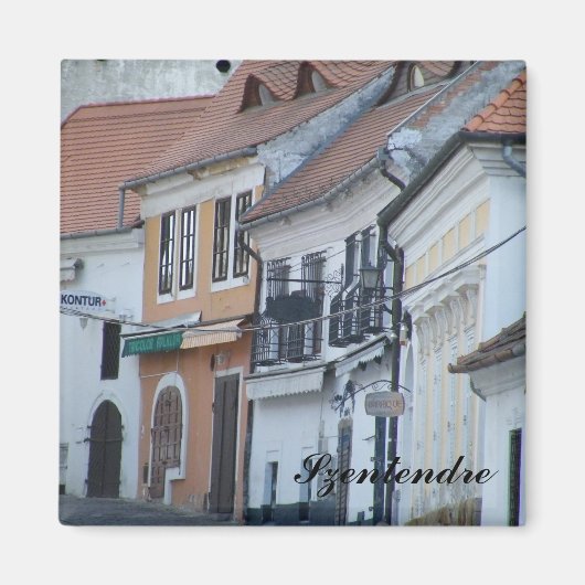 ツェンテンドレ マグネット (正面)