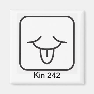 ツォキンヴェントブランコキン242 マグネット