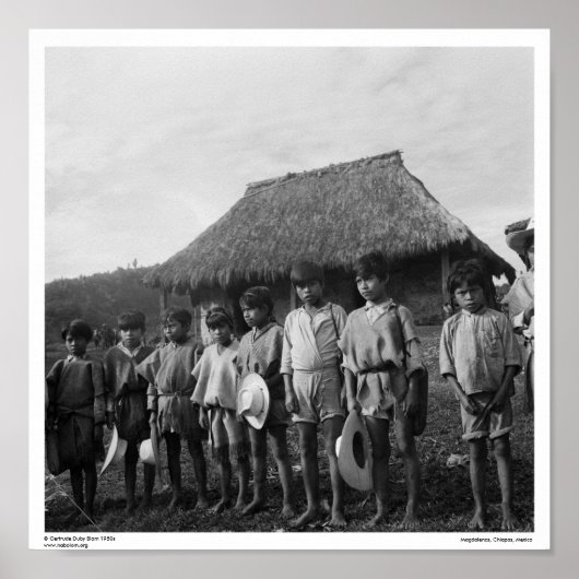 ツォツィルマヤ~マグダレナス,チアパス,メキシコ ポスター (正面)