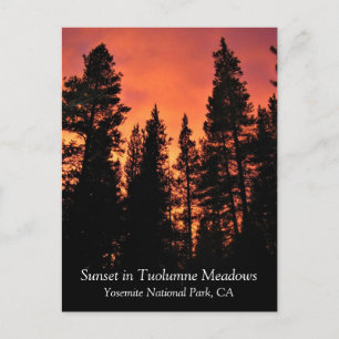 ツオルムネ・メドウズ(Tuolumne Meadows)、ヨセミテ国立公園、カリフォルニア州のポスト ポストカード