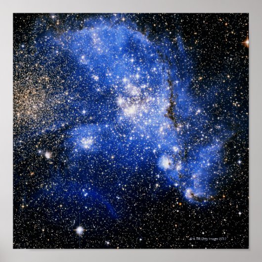 ツカナ星座 ポスター (正面)