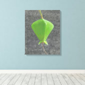 ツガネザル キャンバスプリント (インサイチュ (ウッドフロア))