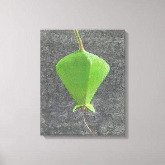 ツガネザル キャンバスプリント (正面)