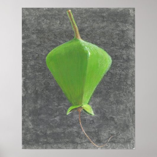 ツガネザル ポスター (正面)