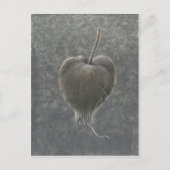 ツガミ2 ポストカード (正面)