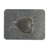 ツガミ2 マグネット (横)