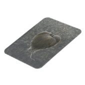 ツガミ2 マグネット (左側)