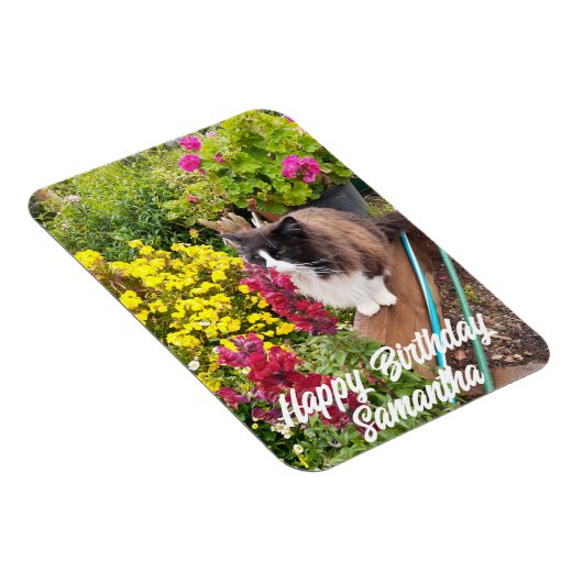 ツキセド猫の花猫の匂い誕生日磁石 マグネット (右側)