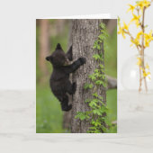 ツキノワグマのカブスの登山の木 カード (黄色い花)