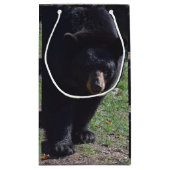 ツキノワグマのギフトバッグ スモールペーパーバッグ (裏面)