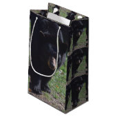 ツキノワグマのギフトバッグ スモールペーパーバッグ (裏面アングル)