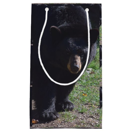 ツキノワグマのギフトバッグ スモールペーパーバッグ (正面)