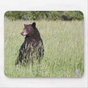 ツキノワグマのマウスパッド マウスパッド