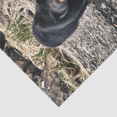 ツキノワグマの反射 薄葉紙 (詳細)