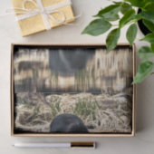 ツキノワグマの反射 薄葉紙 (ギフト)