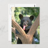 ツキノワグマの幼いこども ポストカード (正面/裏面)