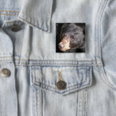 ツキノワグマの正方形ボタン 缶バッジ (インサイチュ)