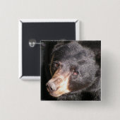 ツキノワグマの正方形ボタン 缶バッジ (正面&裏面)