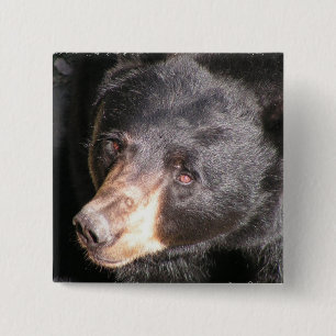 ツキノワグマの正方形ボタン 缶バッジ