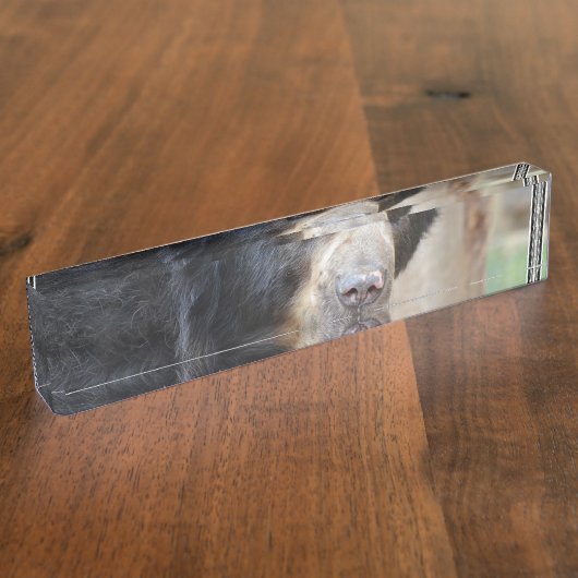 ツキノワグマの素晴らしい顔 デスクネームプレート (側面)