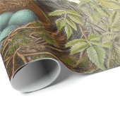 ツグミの鳥と巣のスクリプトフランスのヴィンテージ ラッピングペーパー (ロールコーナー)