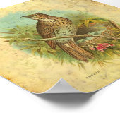 ツグミヴィンテージ ポスター (角)