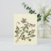 ツケハナスミレの植物画 ポストカード (スタンド正面)