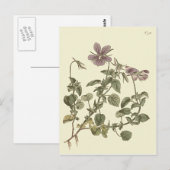 ツケハナスミレの植物画 ポストカード (正面/裏面)