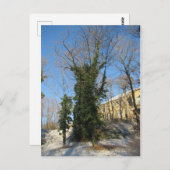 ツゲワッチェナーバウム ポストカード (正面/裏面)