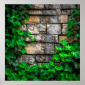 ツタつる植物葉植物ブロードリーフ ポスター (正面)