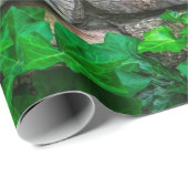 ツタつる植物葉植物ブロードリーフ ラッピングペーパー (ロールコーナー)