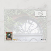 ツタで囲まれたアーチ型の戸口 ポストカード (裏面)