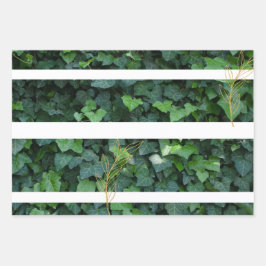 ツタのギフトラップ ラッピングペーパーシート