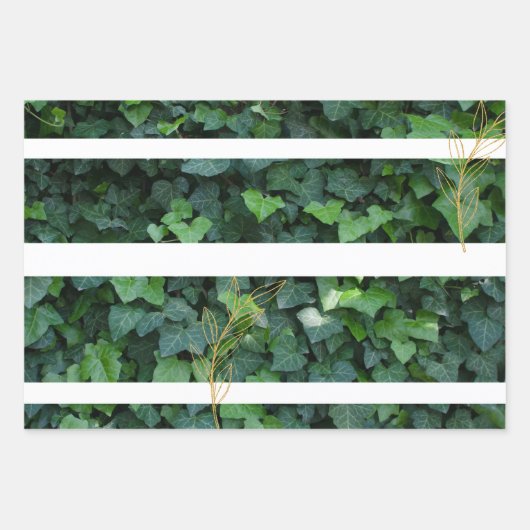 ツタのギフトラップ ラッピングペーパーシート (正面)